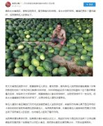 倆老太偷西瓜，被種瓜的抓住，種植人要求賠償